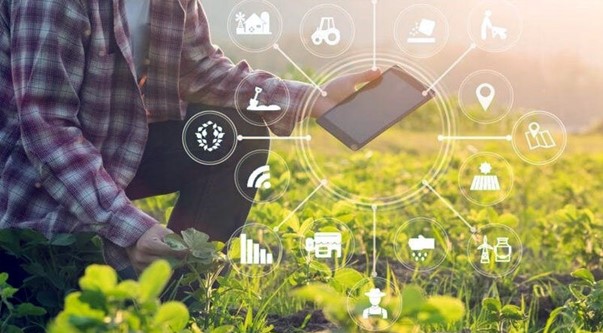 توسعه کشاورزی